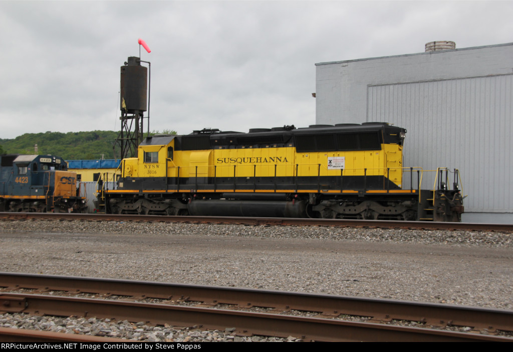 NYSW 3016